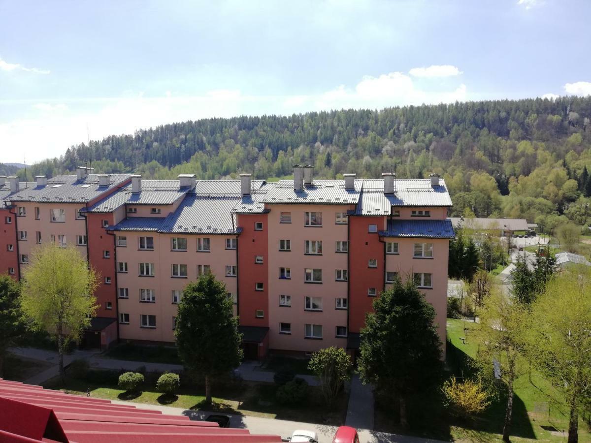 Apartamenty Bieszczadzki Aniol Ustrzyki Dolne Exterior photo